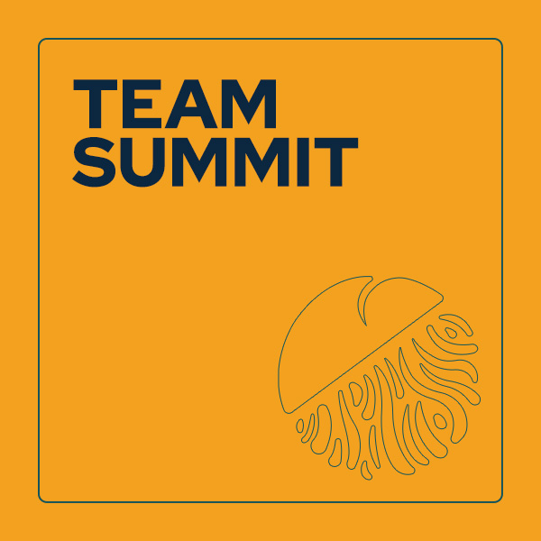 Team Summit